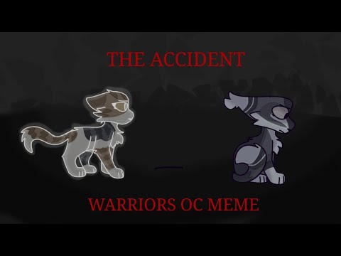 【THE ACCIDENT】WARRIORS OC MEME