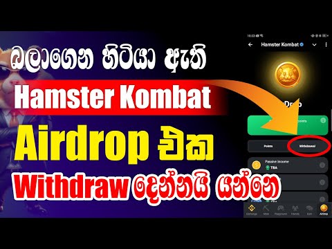 Hamster Kombat Withdraw NOW Fast | Hamster Kombat Withdraw | Hamster Kombat New Update Today