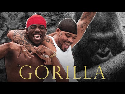 KAYUÁ - GORILLA  🦍