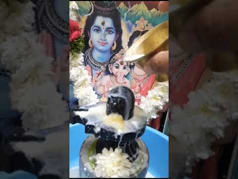 siva rudhrabhishekam #abhishekam #siva #trendingshorts  ma ayyavari abhishekam in his house