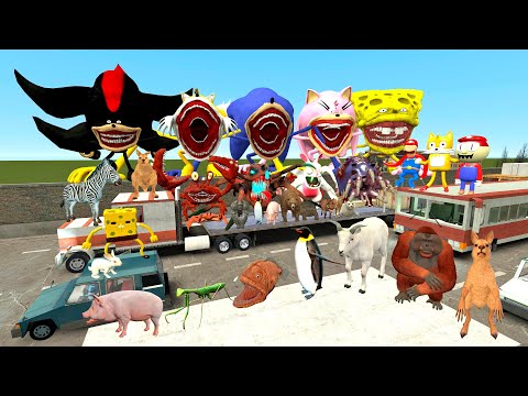 🚗 FREEWAY SPARTAN KICKING SONIC TAPES FAMILY SPONGEBOB KNUCKLES SHADOW AMY TAILS ZOOCHOSIS in Gmod !