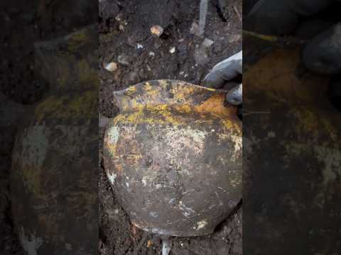 Some neat finds from a 1930s Dump Site. #relicdigging #viralvideo