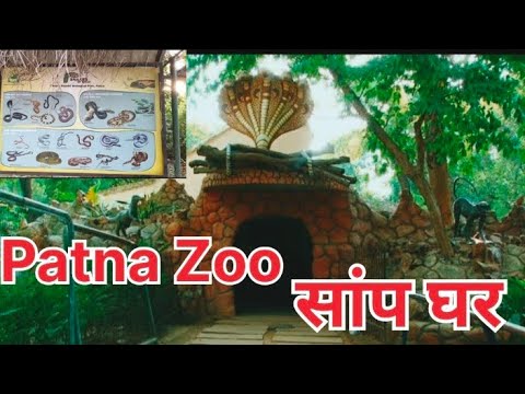 Patna Zoo सांप घर | Snake House Patna Zoo | पटना चिड़ियाघर | Patna Bihar