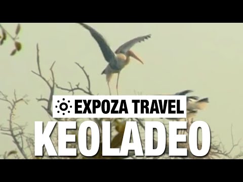 Keoladeo (India) Vacation Travel Video Guide