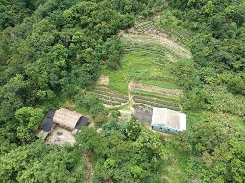 [DJI Spark ] 深坑 - 林家草厝