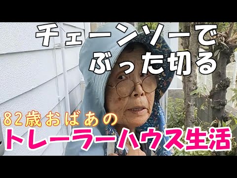 【トレーラーハウス生活】82歳　チェーンソーでぶった切る　#348