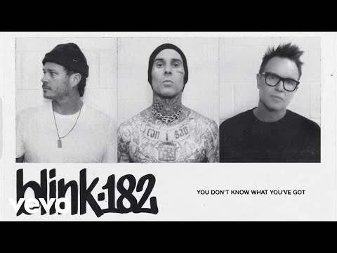 blink-182 - YOU DON'T KNOW WHAT YOU'VE GOT (Official Lyric Video)