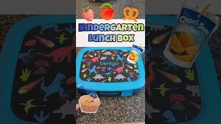 Lunch Box | Kindergarten #shorts #schoollunchbox