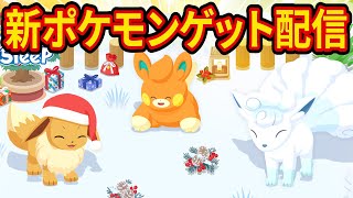 2024年最後になるかもしれないポケスリ睡眠リサーチ配信【ポケモンスリープ】【Pokémon Sleep】