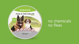 Sobaken for dogs flea and tick collar short