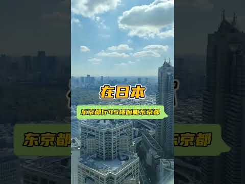 在日本，东京都厅45楼俯瞰整个东京都