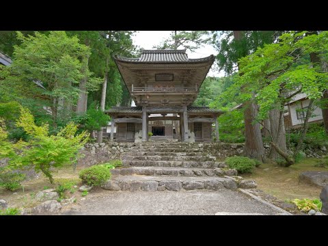 Walking around Hokyoji Temple, a famous temple of the Soto sect, Japan [4KHDR] 散策 宝慶寺 福井県大野市