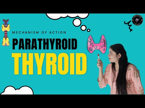 Thyroid and Parathyroid Mechanism of Hormones I Endocrine by Dr. Nikita