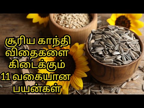 சூரிய காந்தி விதைகளை உண்பதால் கிடைக்கும் 11 வகையான பயன்கள் | by, Dr.Anita | sunflower seeds benefits