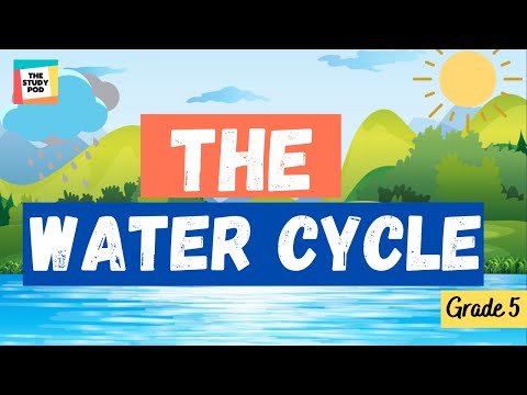 THE WATER CYCLE | SCIENCE | GRADE 5 | The Study Pod