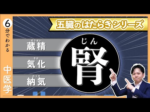 五臓六腑の【腎】｜イメージでわかる「五臓」のはたらき【9割が知らない中医学】