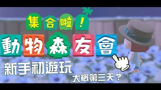 【突發／新手動物森友會 #15】整地也整理一下心情，順便給大家看昨天我做的阿梅下蛋梗圖【薇妮 Winnie🐾】