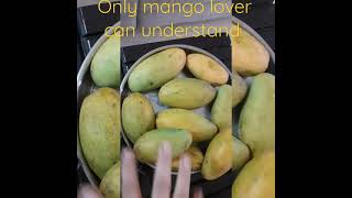 only mango lover can understand #mangos #mango #mangoes #mangolover #fruit #foodie #mangosmoothie #