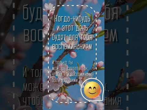 Добрый день☀ С Добрым днем! #музыкальнаяоткрытка #youtubeshorts #добрыйдень #сдобрымднем #улыбнись