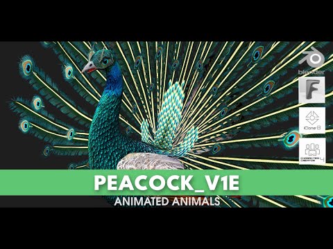 Peacock V1E