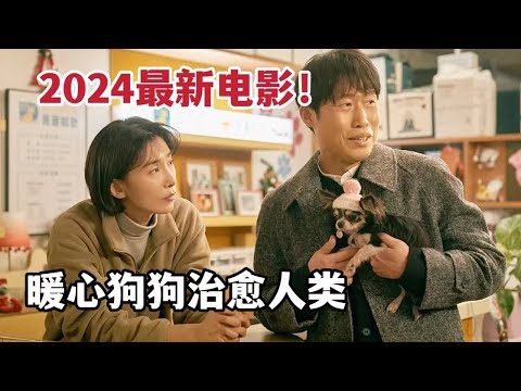 【米虫】2024最新韩影，暖心狗狗治愈人类，温暖治愈电影《宠爱》