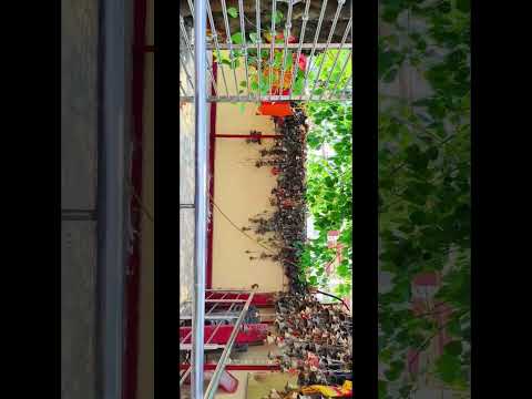 Natural View12052024s1  BHU #trending #creativelifesdvlogs #varanasi