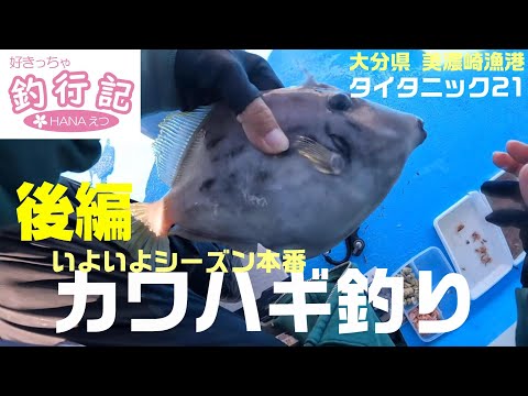 大分で船カワハギ釣り エサを変えて釣果アップを狙え 後編