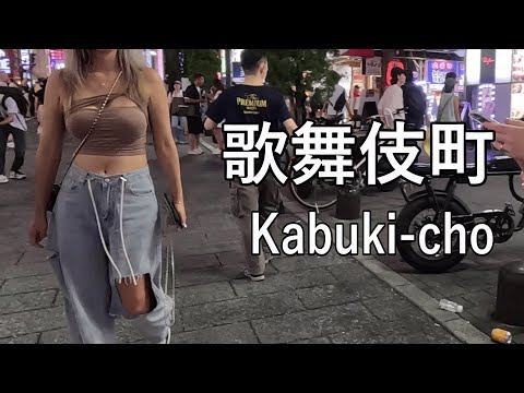 【Night walking】日本一の繁華街、歌舞伎町を散歩 Walking in KABUKI-CHO of Tokyo, busiest shopping district