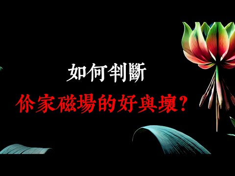 如何判斷，你家磁場的好與壞？