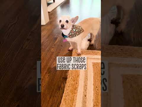 Over the Collar Dog Bandana DIY