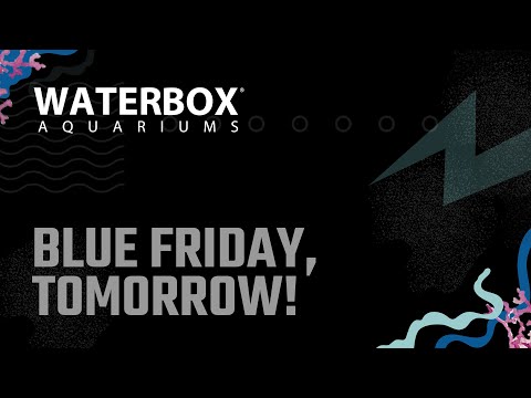 Less than 24 hours until Blue Friday  | The Once a Year Waterbox Event