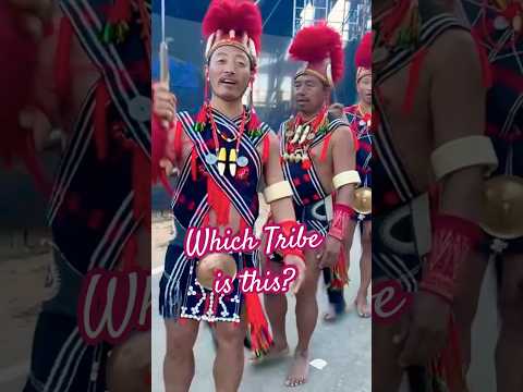 Hornbill 2024: 16 Tribes, One Spectacular Celebration in Nagaland