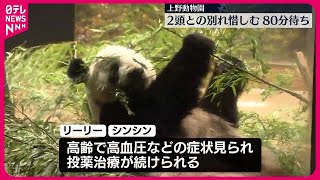 【上野動物園のパンダ】「リーリー」と「シンシン」との別れ惜しみ…80分待ちも