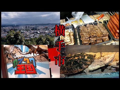 【旅動画】東北ゴリラ、県内を満喫！横手のアミューズメントパーク、ふるさと村にGO！【お盆の旅】