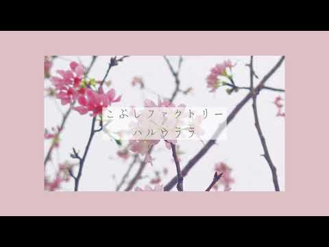 こぶしファクトリー / ハルウララ｜Cover By MIZU