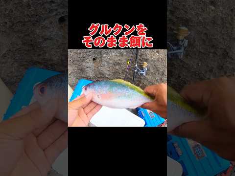 釣れた魚をそのまま餌にして大物を狙う釣り方#釣り#沖縄#波照間島