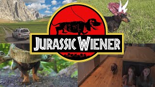 Ep. 1: "Jurassic Wiener" - Dachshund Dinosaurs!