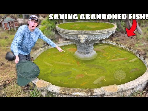 Saving Abandoned AQUARIUM FISH From GREEN SLIME POND!