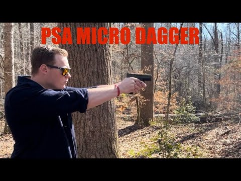 Palmetto State Armory MICRO DAGGER - First Shots and Impressions!!!!