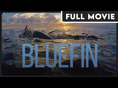 Bluefin (1080p) FULL DOCUMENTARY - Animal Conservation, Educational, Environmental