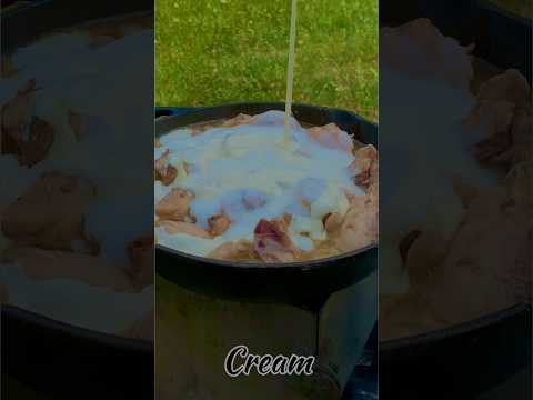 White Chicken Karahi | creamy chicken | yoghurt chicken in wild #asmr #cooking #cookyourself #food