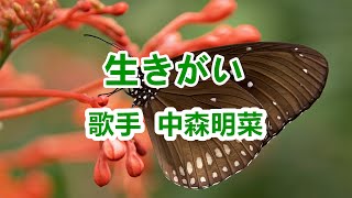 生きがい～唄 中森明菜 (日本レコード大賞受賞者)