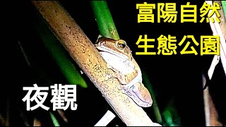 富陽自然生態公園夜探!超多美麗的昆蟲和動物。