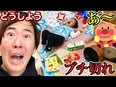 【寸劇】アンパンマンのお菓子が消えた…ここちゃんのために見つけよう💦