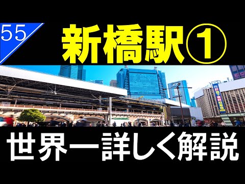 【駅探訪55】サラリーマンの街&渋谷駅に次ぐターミナル駅/東京　新橋駅　前編