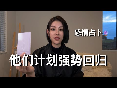 🔮他们计划强势回归！【无限时感情占卜】