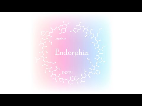 INST2 - Endorphin