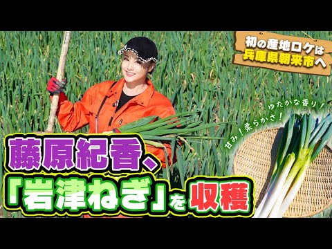 藤原紀香が兵庫県朝来市で初の産地ロケへ！独特の甘みと柔らかさの"岩津ねぎ"を大自然の中でいただきます！