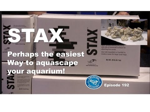 STAX from Two Little Fishies | Episode 192