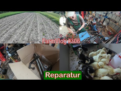 Farmvlog #306: Defekt am Mähladewagen | Nachwuchs bei den Puten